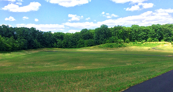 Open meadow surrounded by trees at the cemetery
